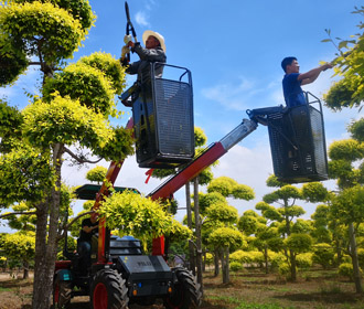 多功能伸缩臂式作业平台3GP8BD