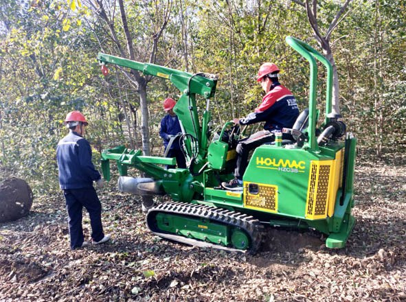 昌邑花木城项目
